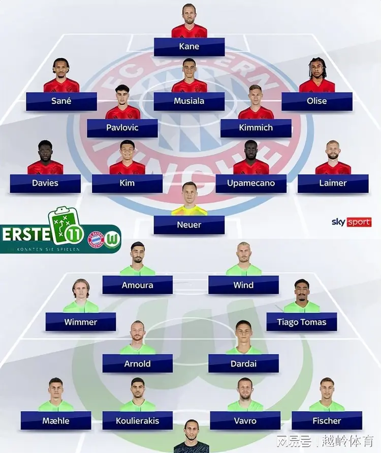 沃尔夫斯堡主场胜利提升排名