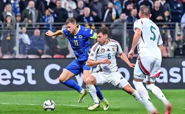 包含波黑前锋状态火热，备受热议的词条