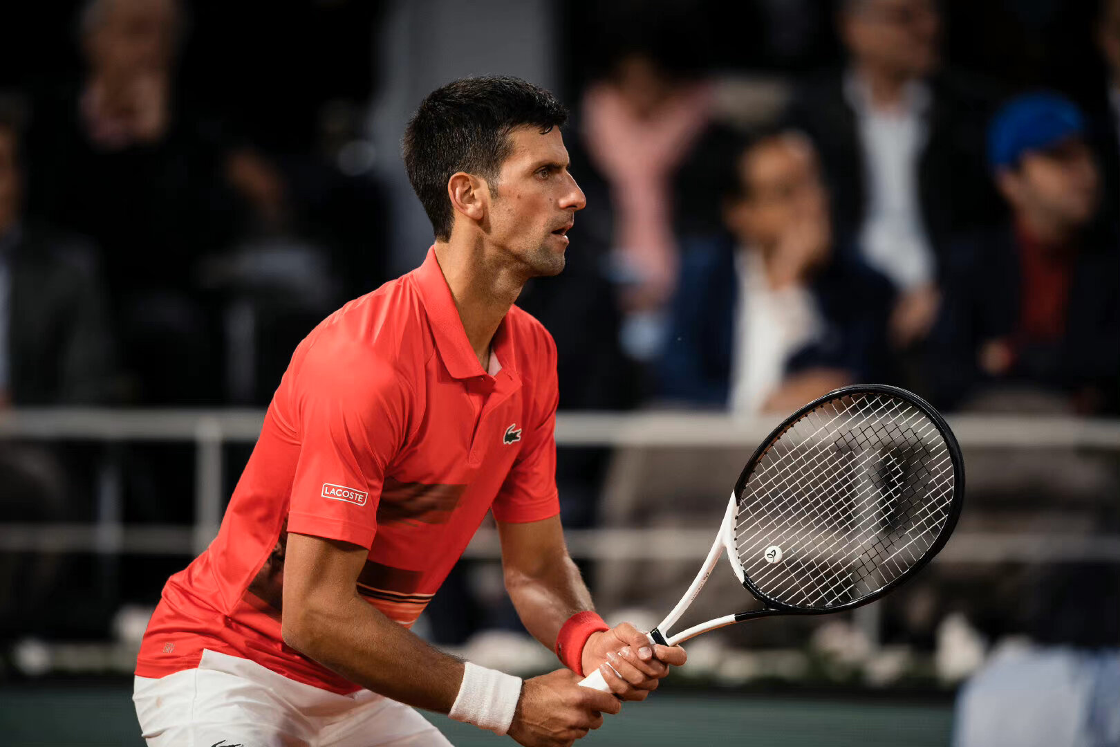 包含温网轻取ATP总决赛，德约科维奇刷新纪录的词条