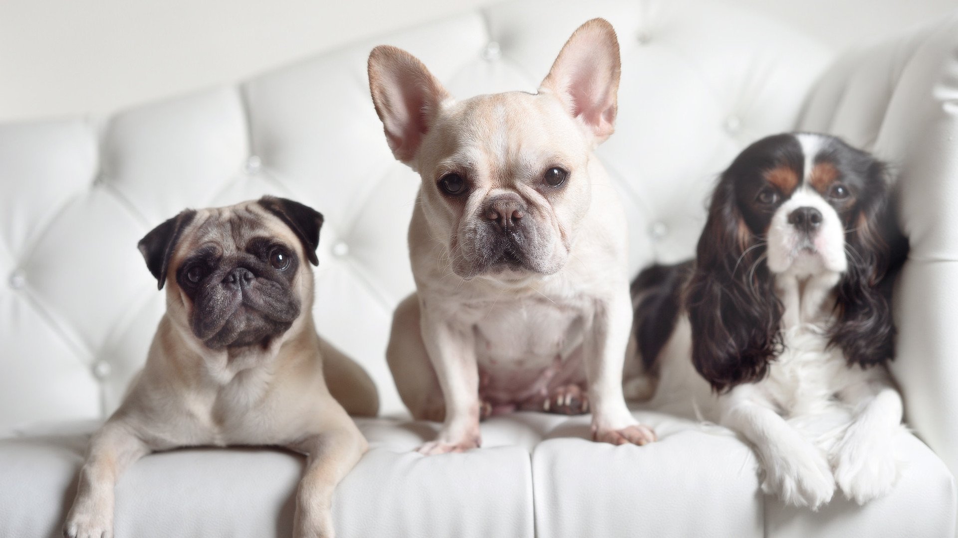 开云体育-旧世界反击，巴拉圭冲垮加拿大，拉亚在德甲争冠战接管比赛