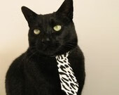 绿军神话再续，关键先生拉梅洛率领凯尔特人击败老鹰