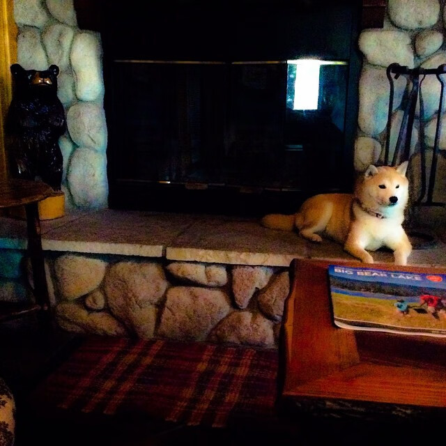 开云体育APP下载-当铁血战车遭遇战术手术刀，勒沃库森哲学与斯通斯的冠军脊椎