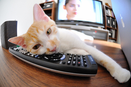 开云下载-当库尔图瓦隔空决定战局，乌克兰如何带走丹麦，开启欧洲杯最诡异的晋级之路