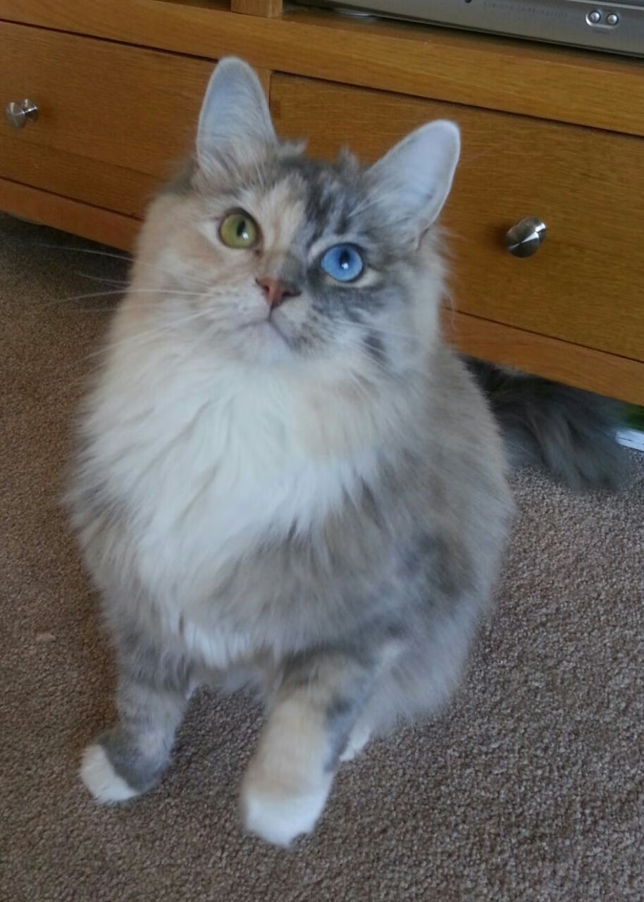 开云体育平台APP-跨界统治力,当灰熊锁死热火,伦纳德在西甲德比宣告王权