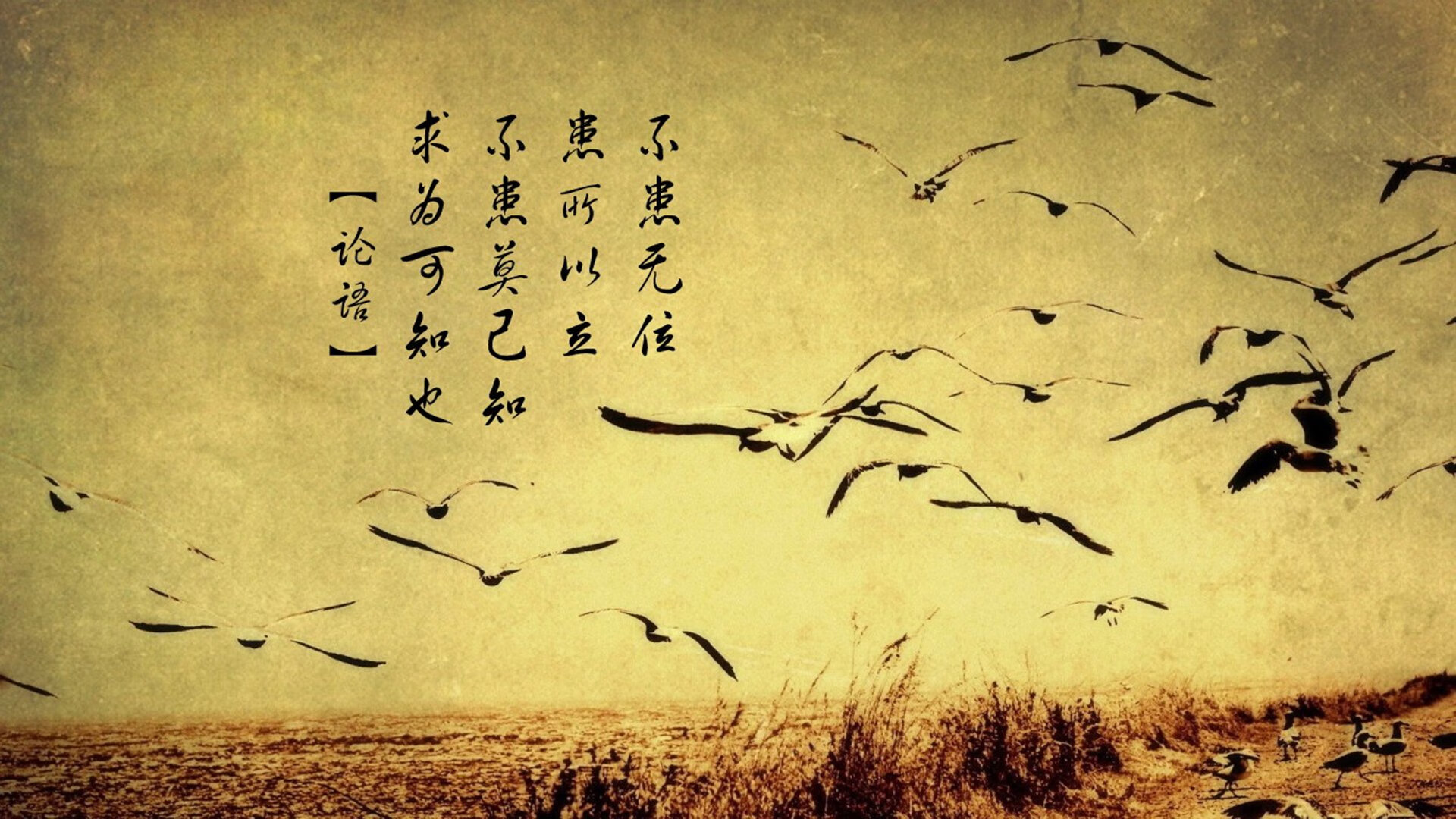 开云体育平台APP-暴雨夜，冷静者称王，巴尔韦德的夺冠逆袭如何撕裂雨幕与命运