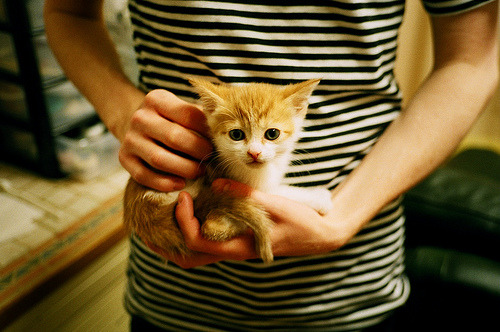 硬仗与艺术家，当巴黎的铁壁击溃牙买加的闪电，厄德高在德甲用脚写诗