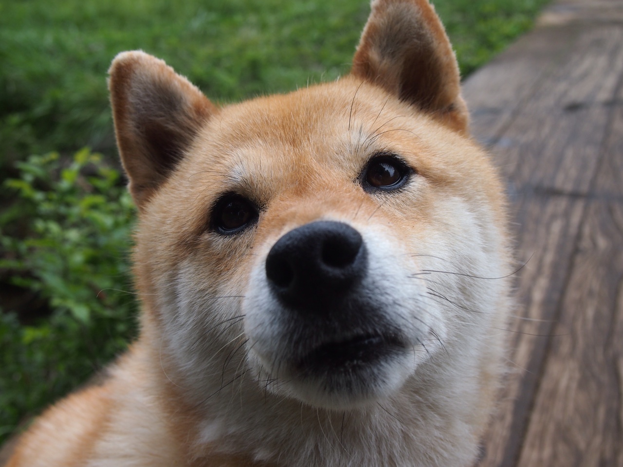 教科书里写不出的章节，欧冠决赛之夜的迪巴拉，表现唯一