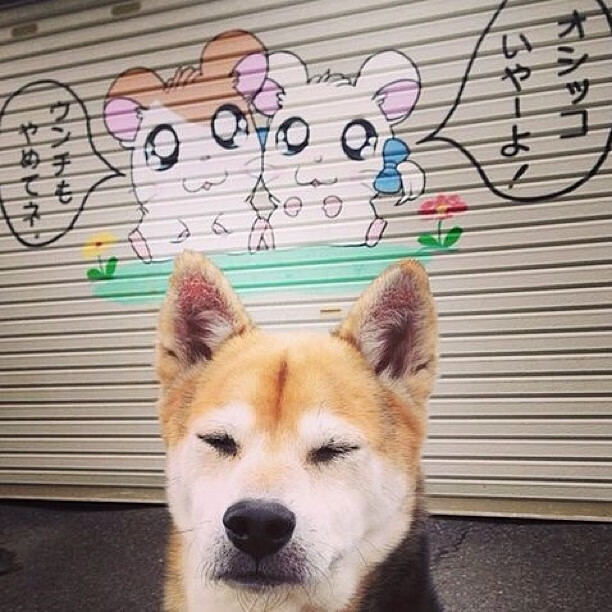 开云体育在线-当库尔图瓦降临中北美—哥斯达黎加门神导演史诗级翻盘牙买加