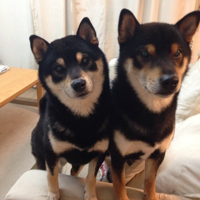 掌控之战，孔德运筹帷幄，冰岛连击风暴压制塞维利亚