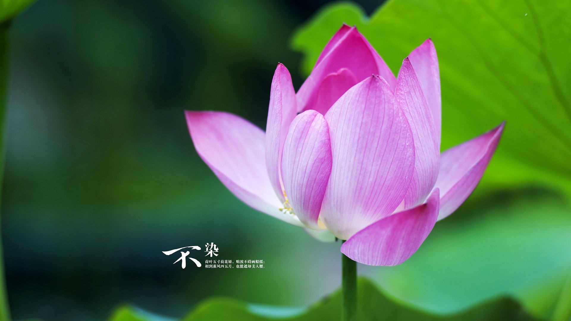 最陌生的舞台，最熟悉的魔法，当德布劳内穿越东决战之夜