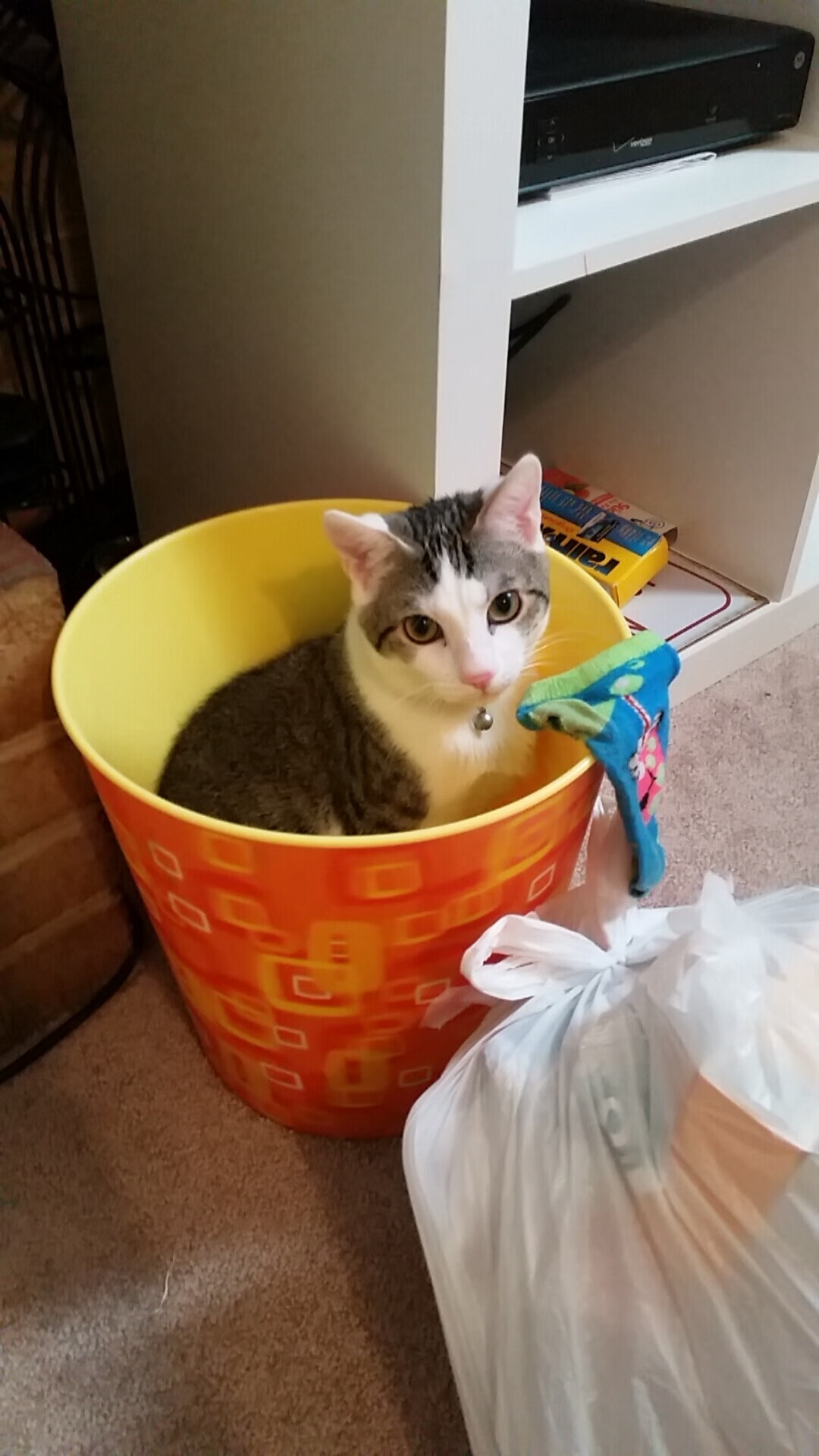 绿茵场上的篮球智慧，当深圳队的节奏哲学在意甲点燃小贾伦