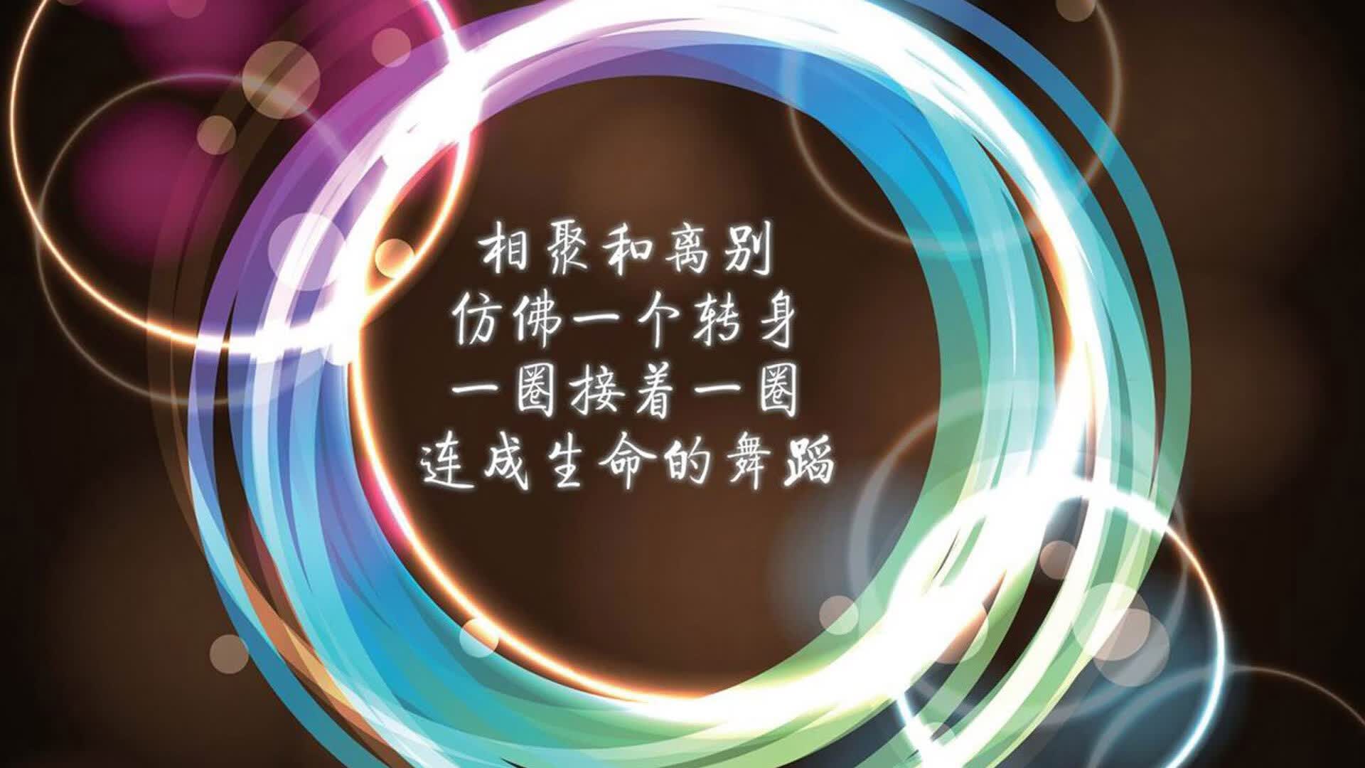 一秒钟的永恒,2026世界杯E组,B费致命一击撕裂乌兹别克斯坦,瑞士沉默中爆发
