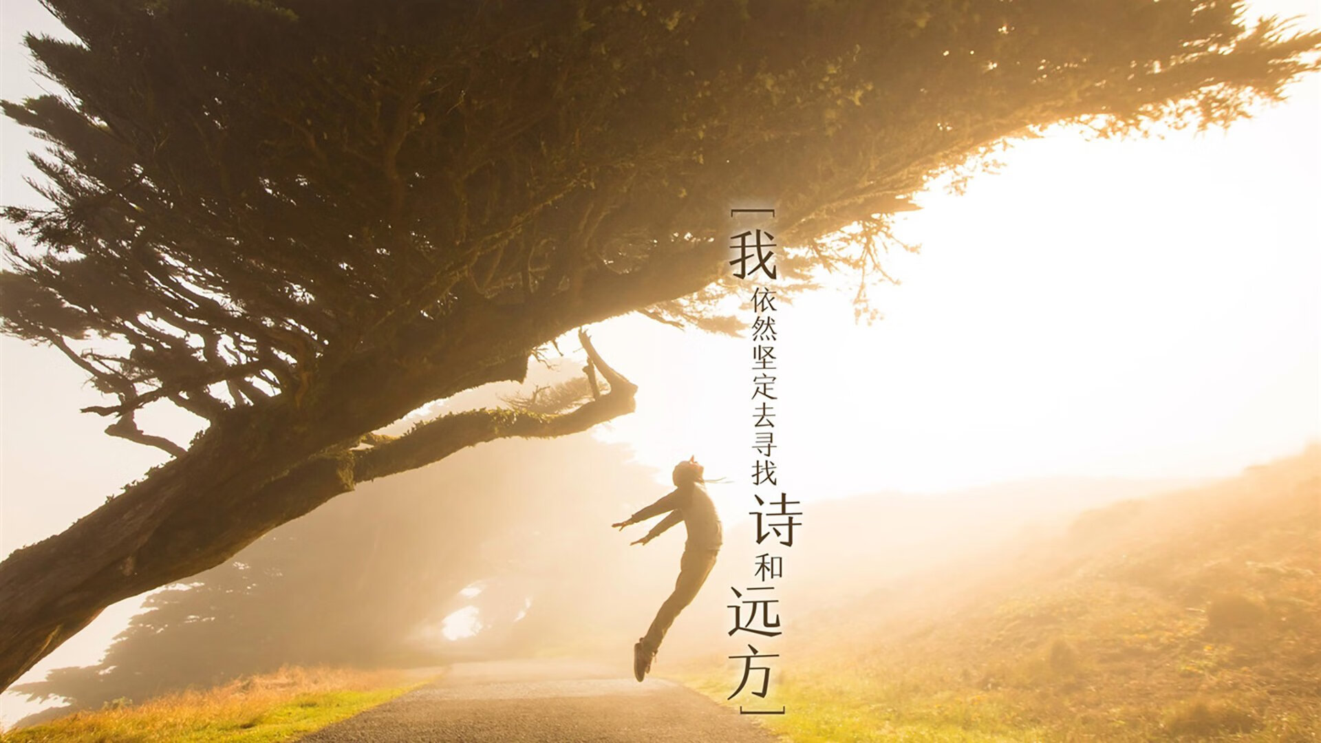 开云体育官网-北欧冰火终局，斯洛伐克的孤注一掷，与范戴克那记燃烧的加时